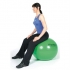 Thera-band gymbal ProSeries 55cm rood 292331  292331